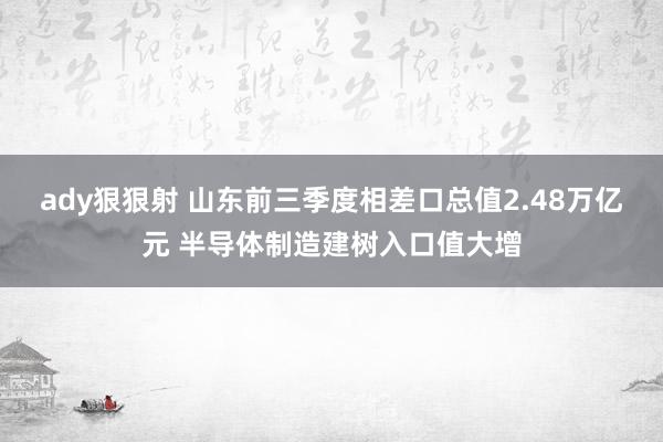ady狠狠射 山东前三季度相差口总值2.48万亿元 半导体制造建树入口值大增