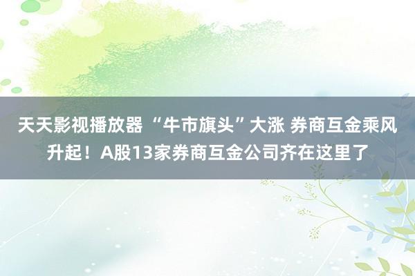 天天影视播放器 “牛市旗头”大涨 券商互金乘风升起！A股13家券商互金公司齐在这里了