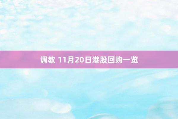 调教 11月20日港股回购一览