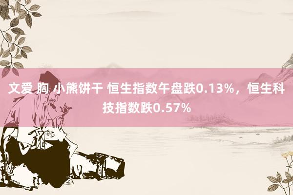 文爱 胸 小熊饼干 恒生指数午盘跌0.13%，恒生科技指数跌0.57%