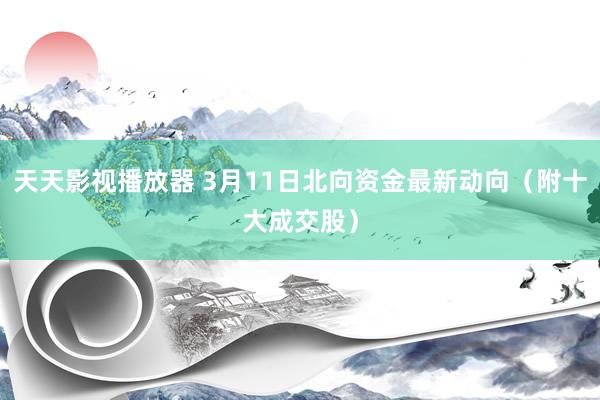 天天影视播放器 3月11日北向资金最新动向（附十大成交股）